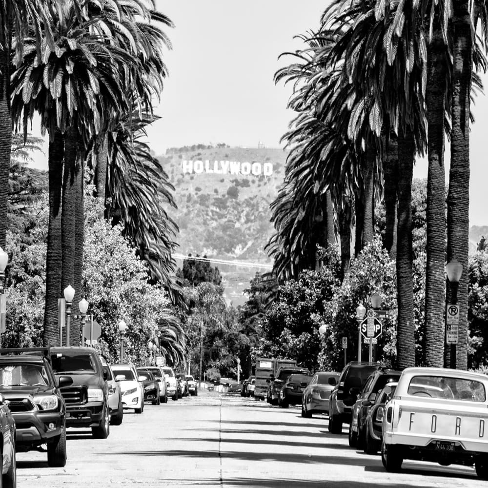 Papier peint hollywood n&b 208x270 cm — vue 4