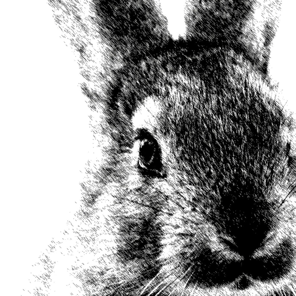 Papier peint lapin géant 208x270 cm — vue 4