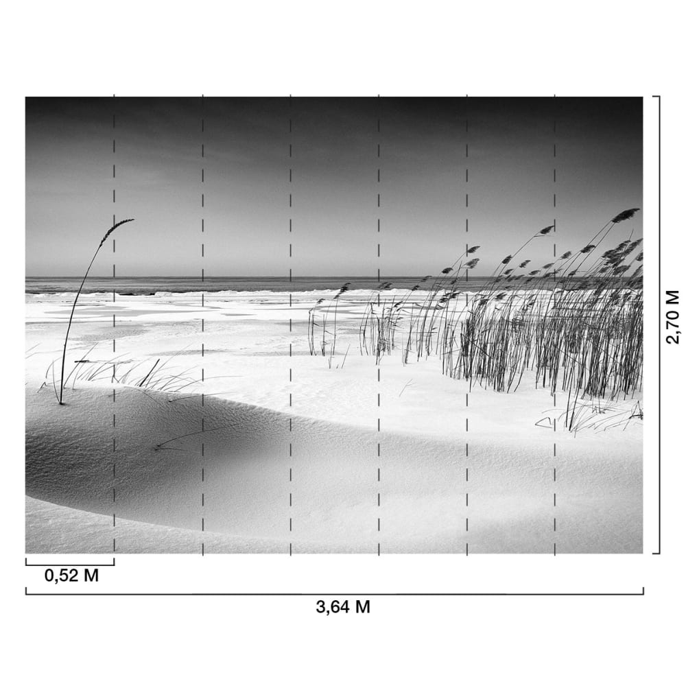 Papier peint plage des landes en n&b 364x270 cm — vue 3