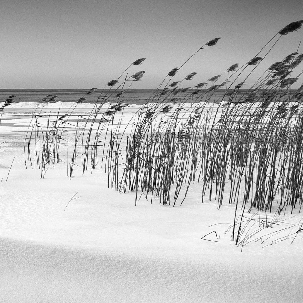 Papier peint plage des landes en n&b 364x270 cm — vue 4