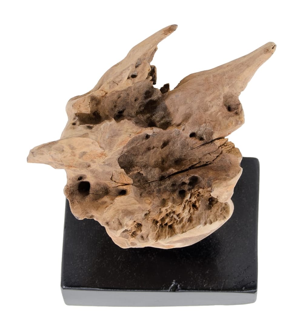 Figure abstraite en teck beige — vue 4