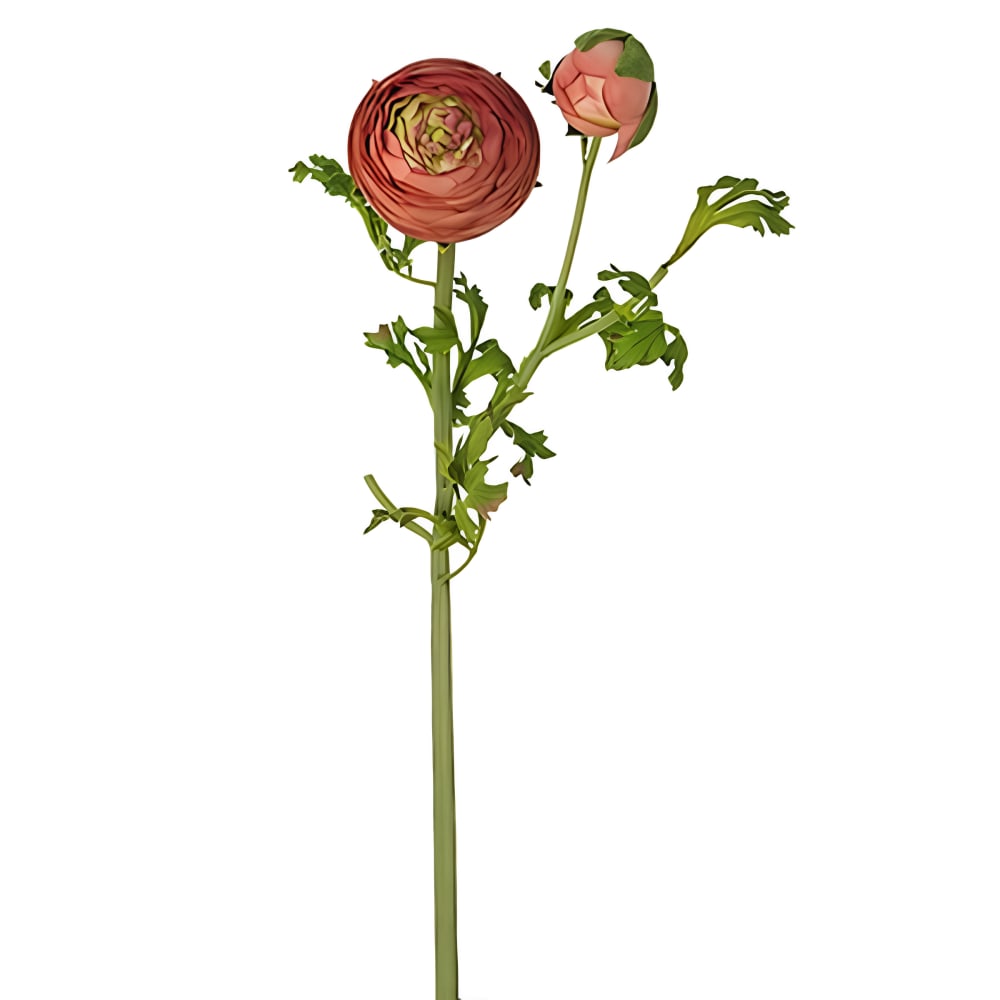 Tige de renoncule artificielle rouge h56 — vue 4