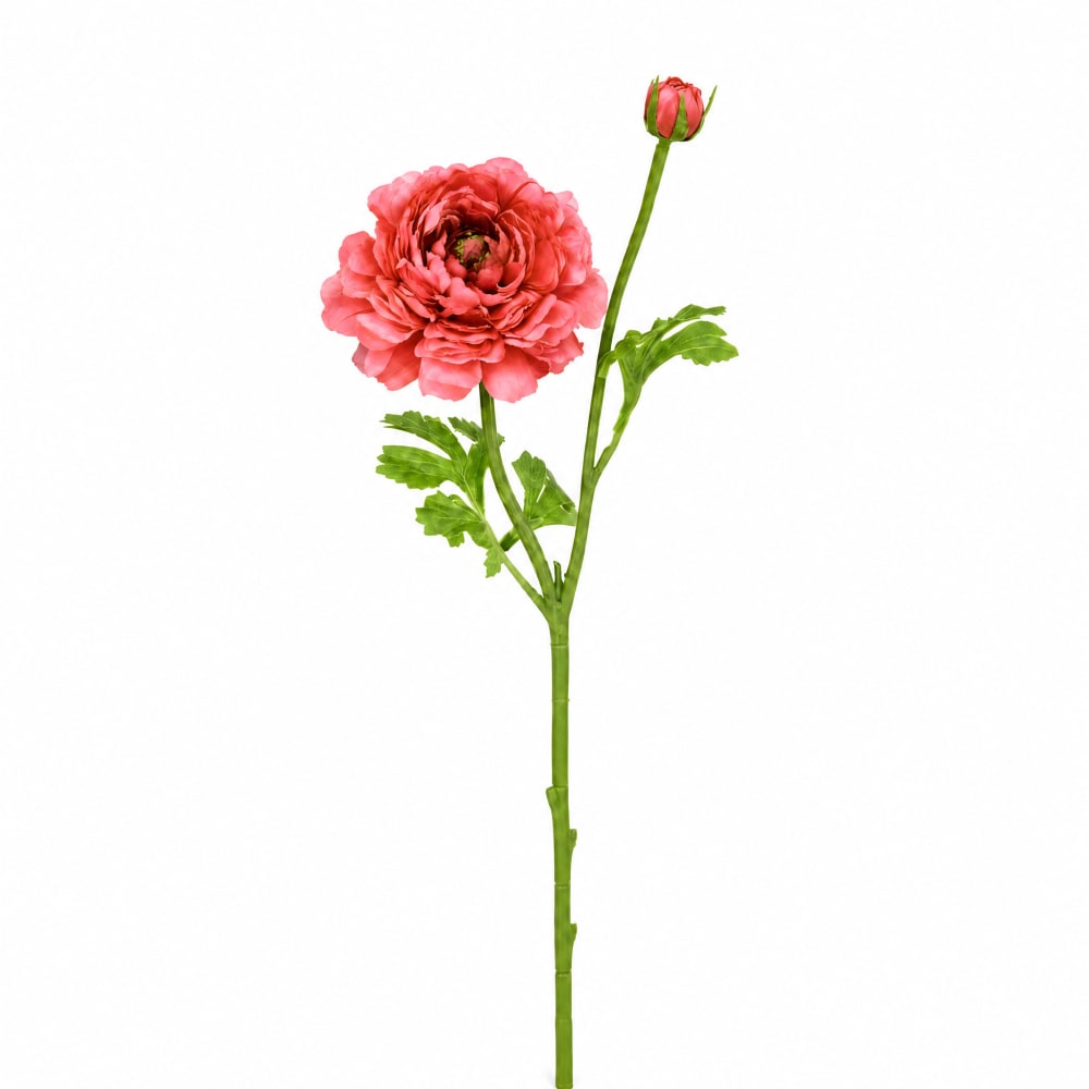 Sia Deco Künstlicher geöffneter Ranunkelstiel H40, Rosa style modern Rosa Pes - Polyester