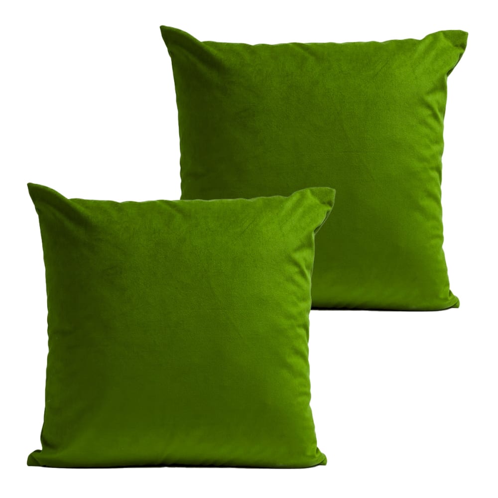 Coussins uni  lot de 2 velours vert 40x40cm