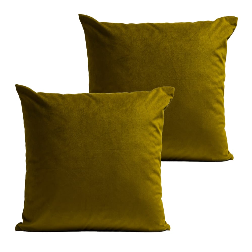 Coussins uni  lot de 2 velours vert 60x60cm
