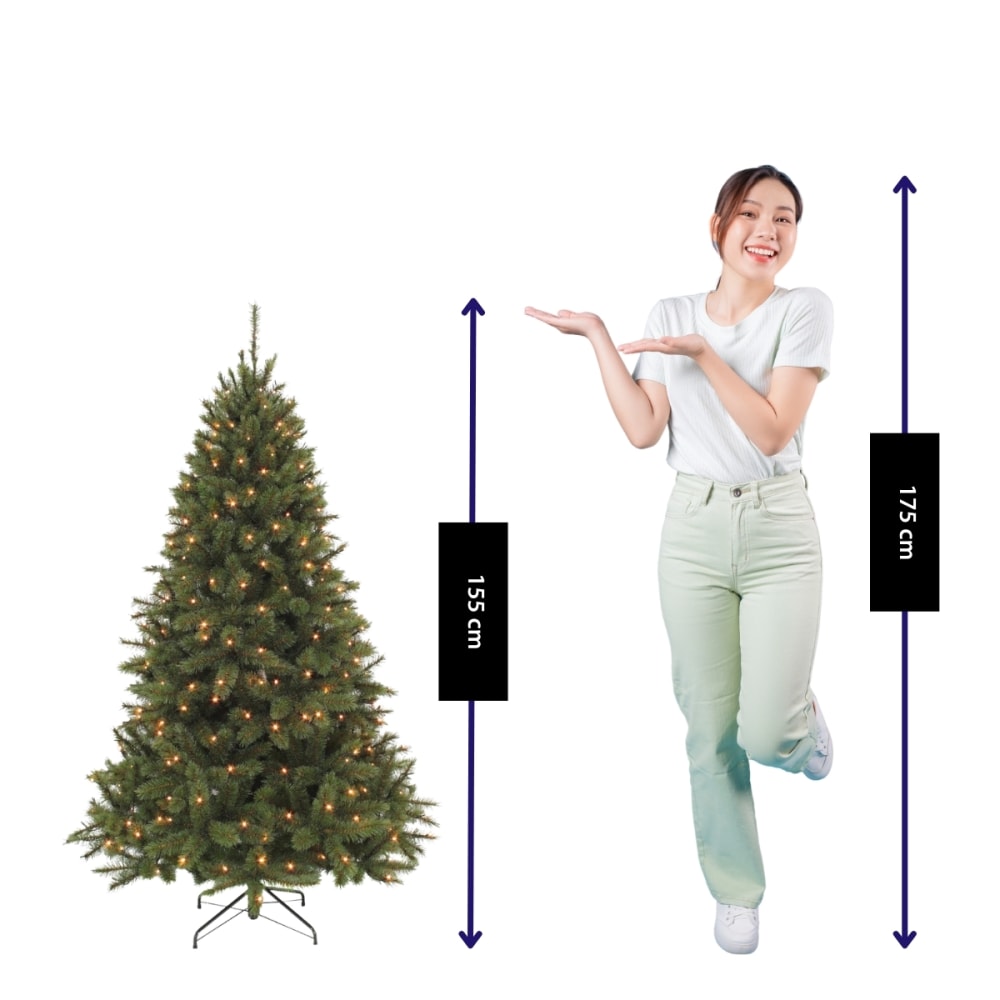 Bristlecone Fir Grün Kunststoff H155xB99xL99cm - Maisons Du Monde
