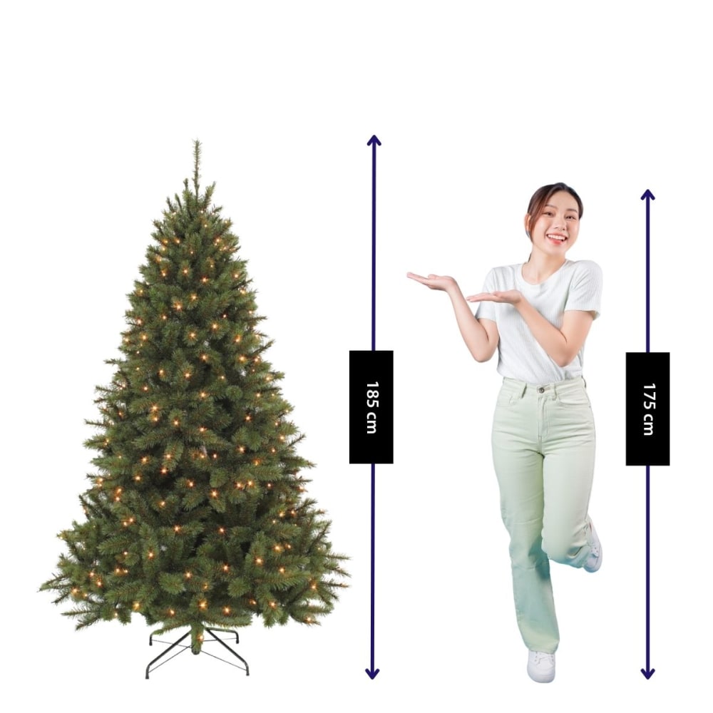 Bristlecone Fir Grün Kunststoff H185xB119xL119cm - Maisons Du