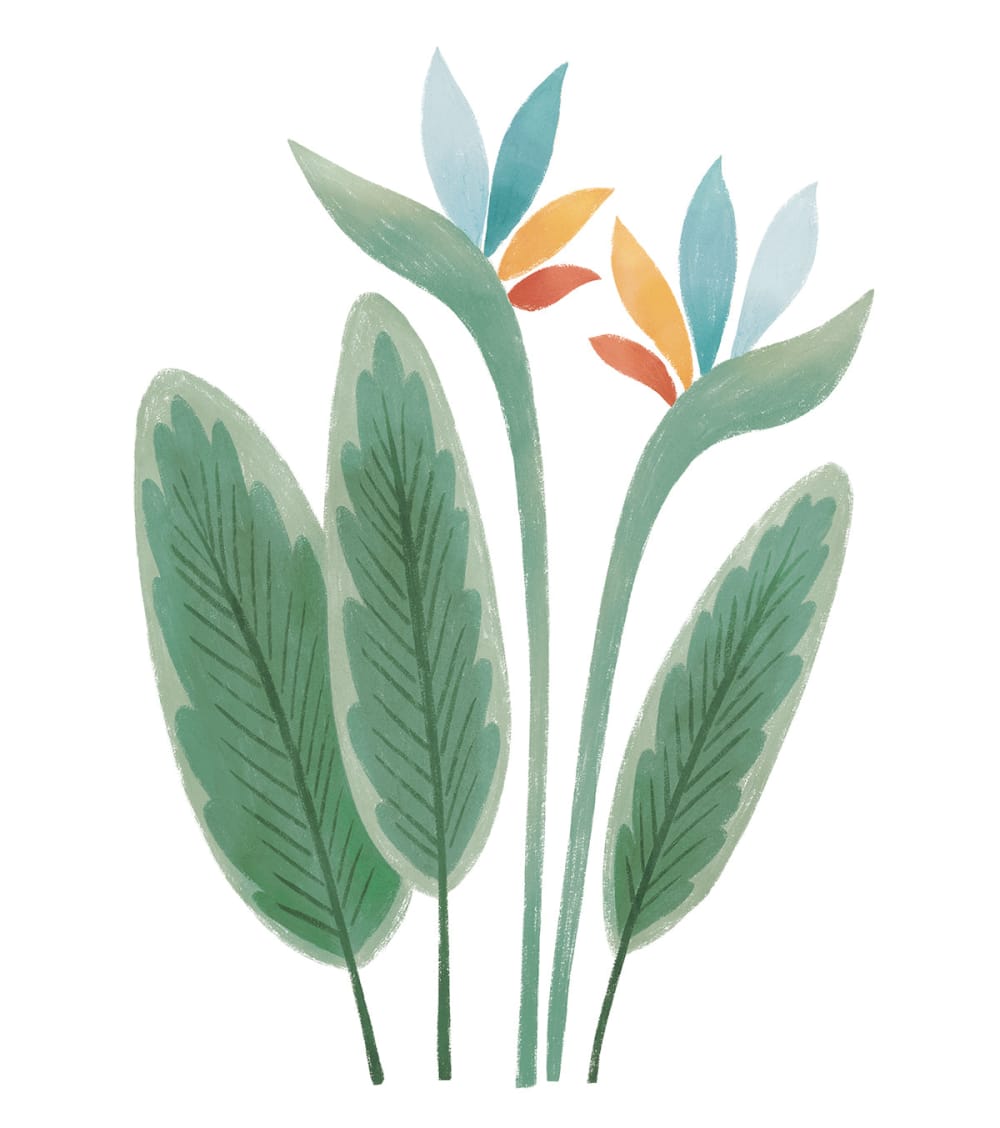 Stickers feuilles et fleurs exotiques en vinyle mat vert, 50x70 cm