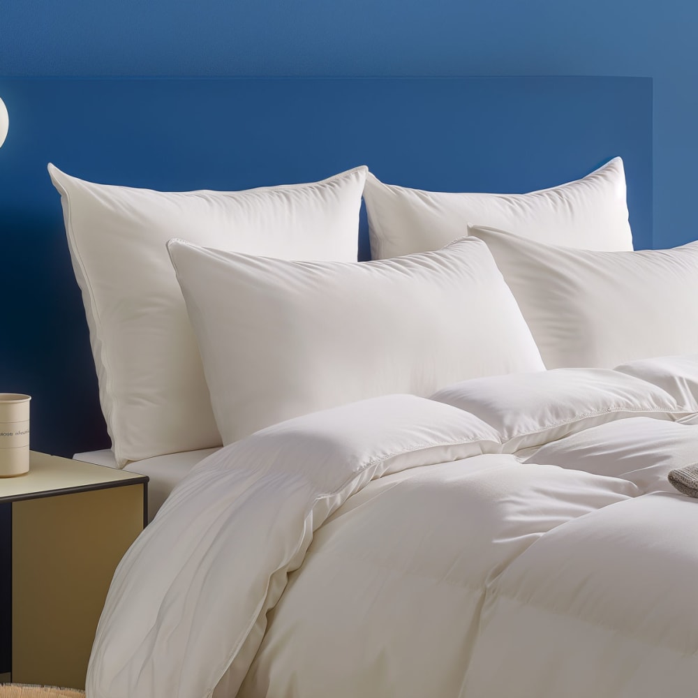 Oreiller percale - medium 50x70 cm - Maisons du Monde