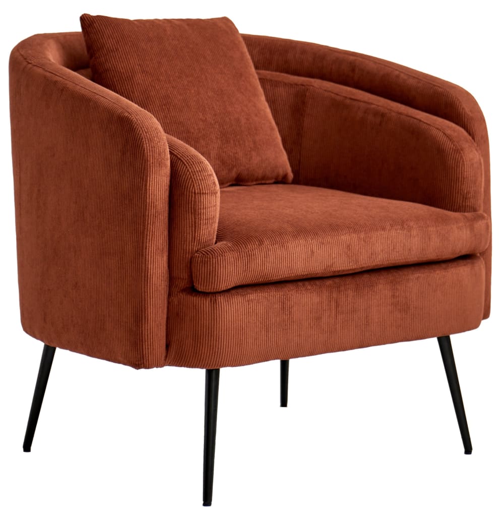 fauteuil de salon en