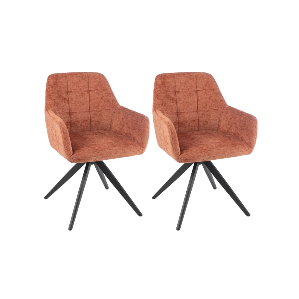 Lot de 2 chaises en métal