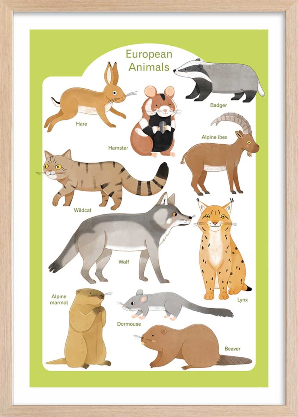 Affiche enfant animaux d'europe  avec cadre bois 40x60 cm