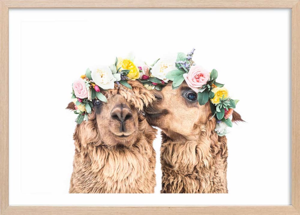 Affiche enfant alpagas bohèmes  avec cadre bois 60x40 cm