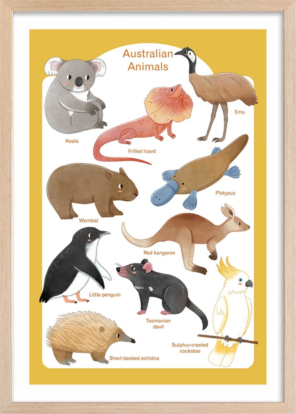 Affiche enfant animaux d' australie  avec cadre bois 40x60 cm