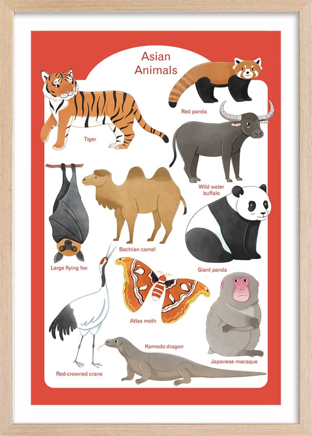 Affiche enfant animaux d' asie  avec cadre bois 40x60 cm