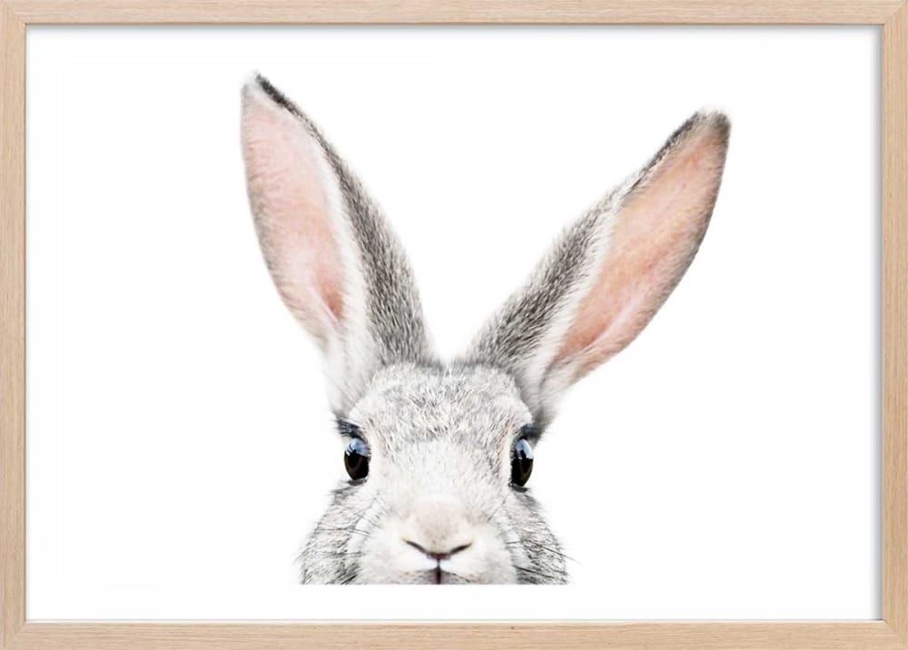 Affiche enfant lapin  avec cadre bois 60x40 cm
