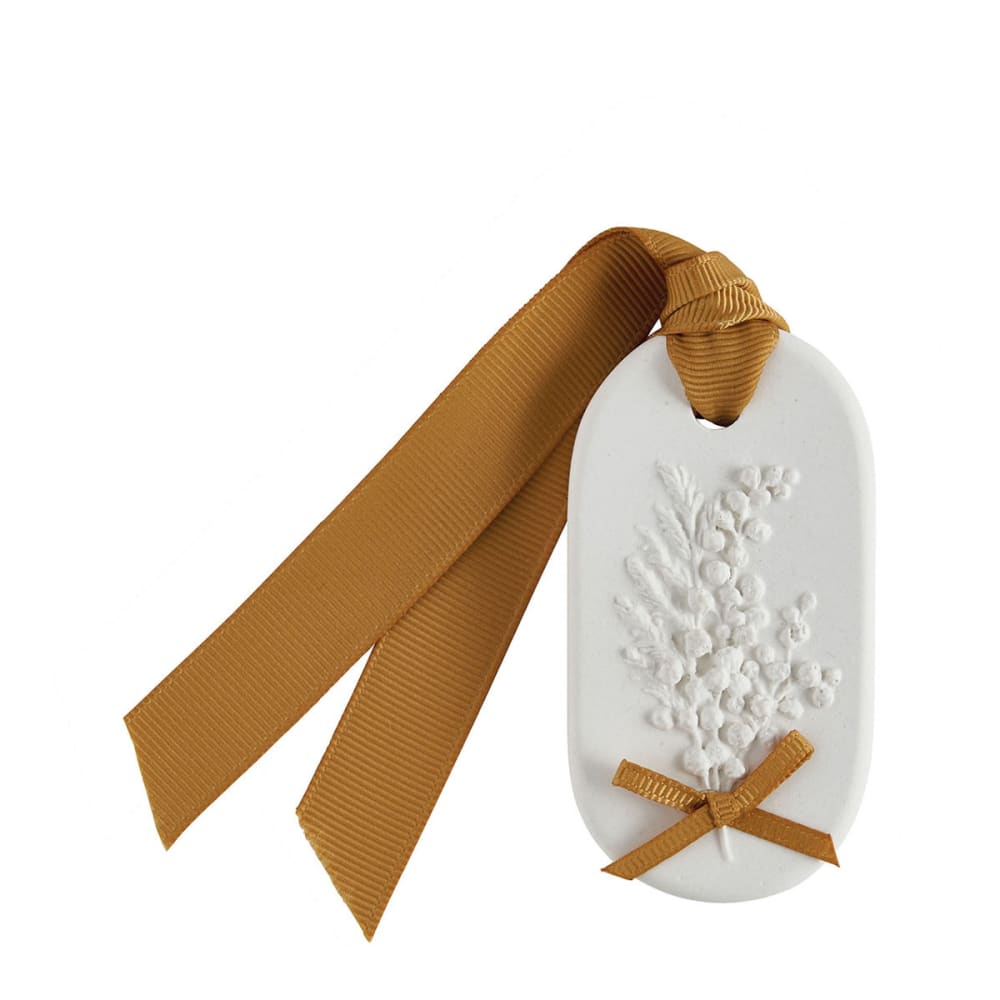 Décor parfumé - mimosa joli