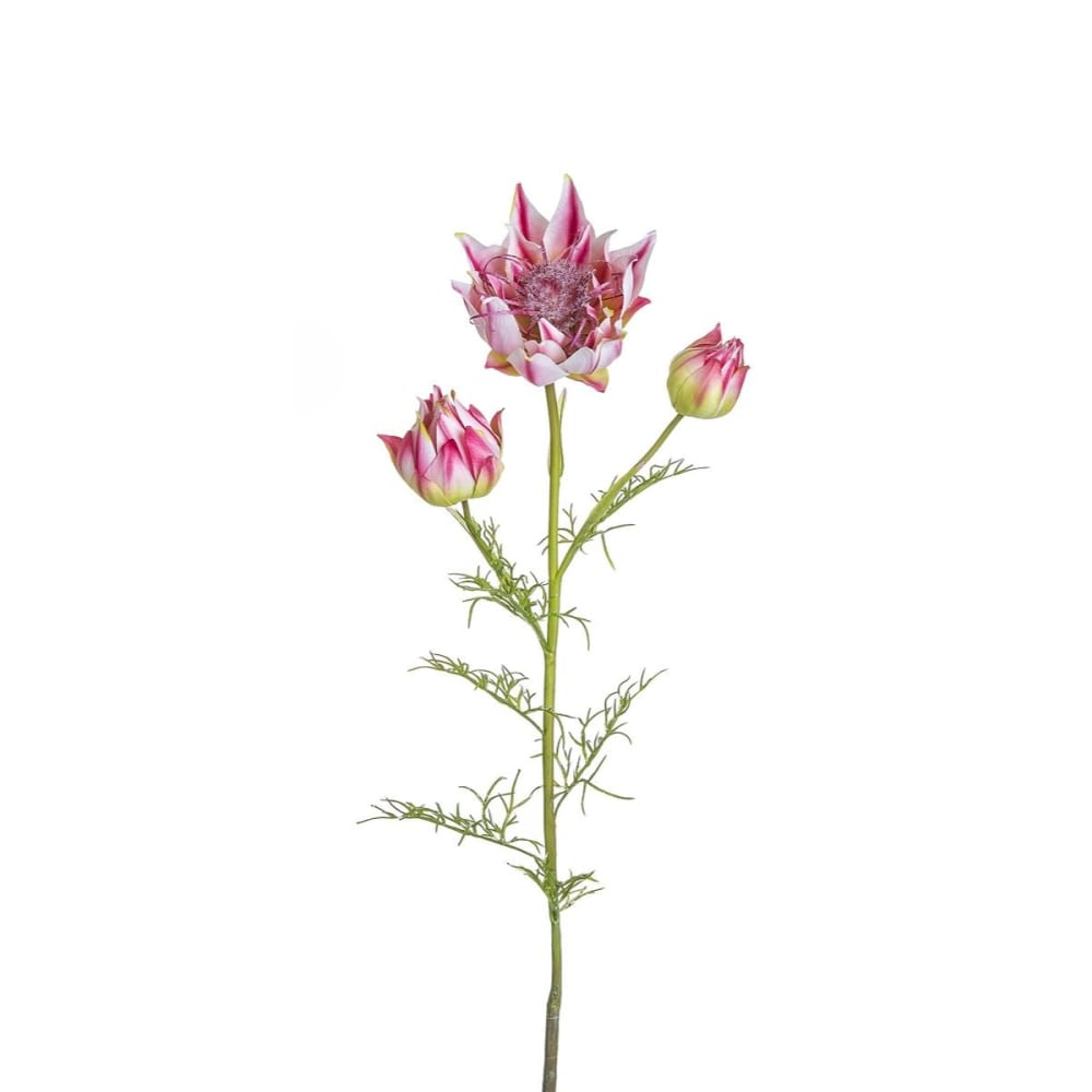 Sia Deco Tige de serruria artificielle fuchsia h112 style contemporain Rose Pes - Polyester