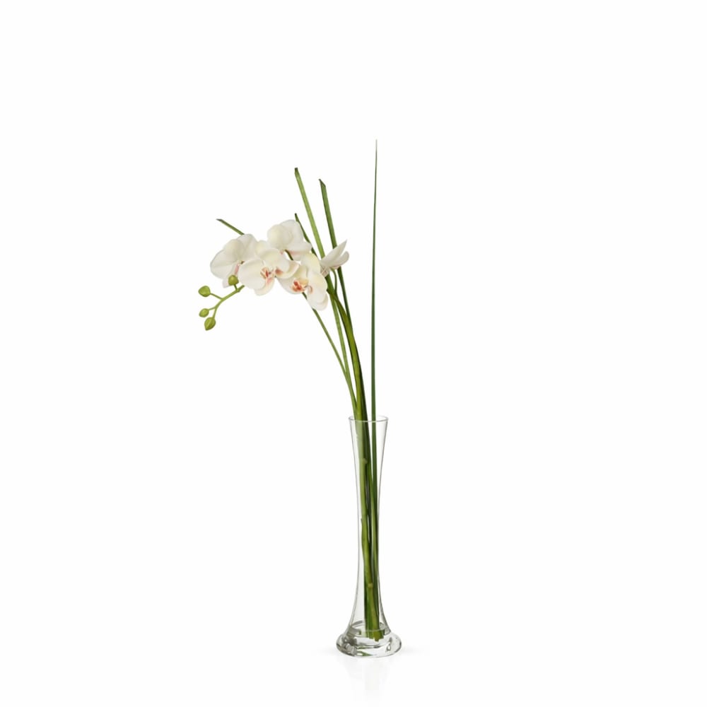 Sia Deco Orchidee in künstlichem Wasser H60, Creme style modern Beige Glas