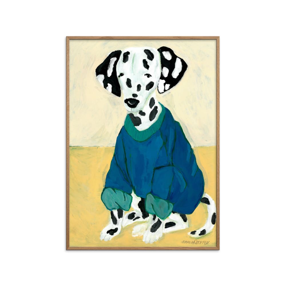 Affiche ''Dalmatian in Sweatshirt'' Cadre en Chêne - 30x40 cm