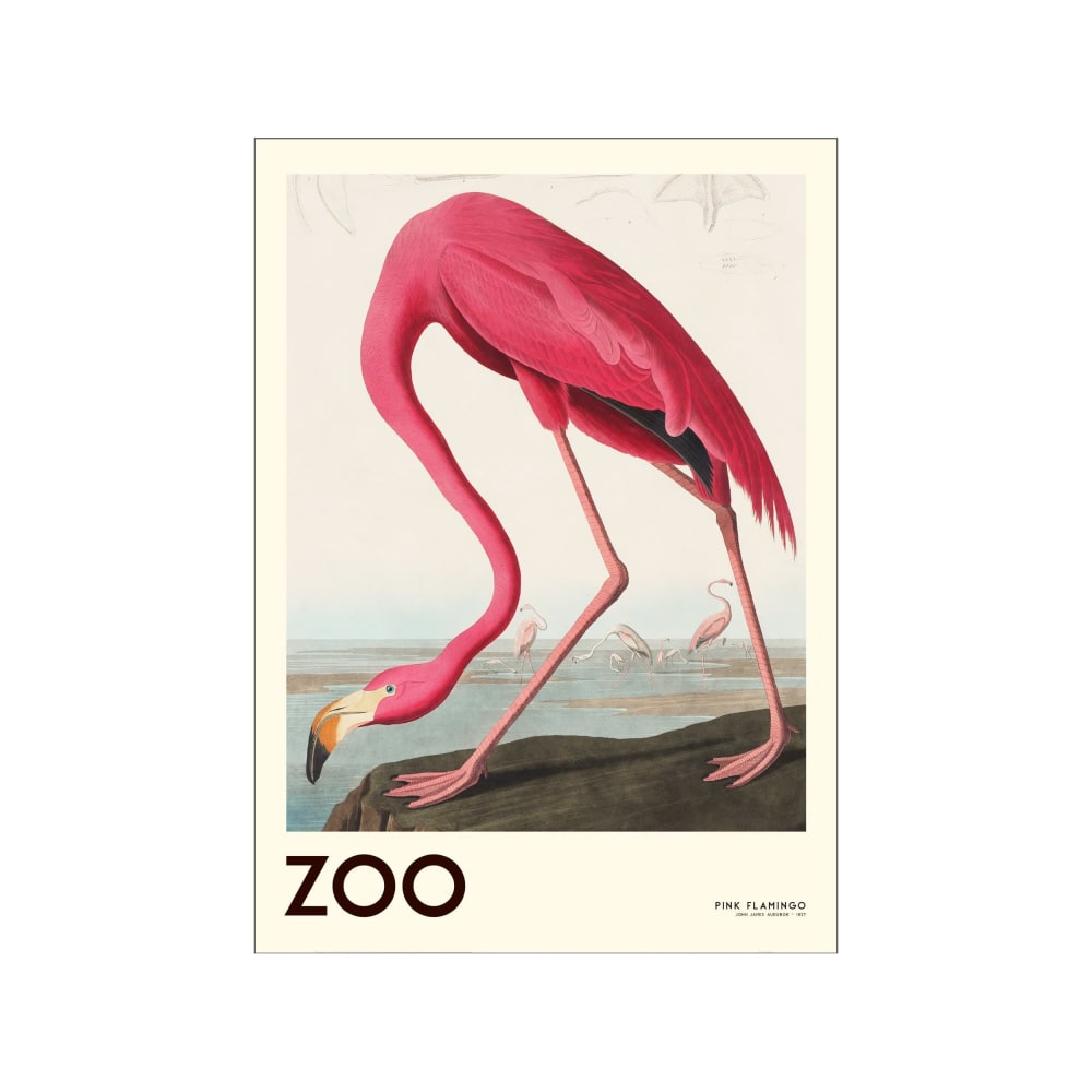 Affiche "The Zoo Collection — Pink Flamingo — Edt. 001" - 30 x 40 cm