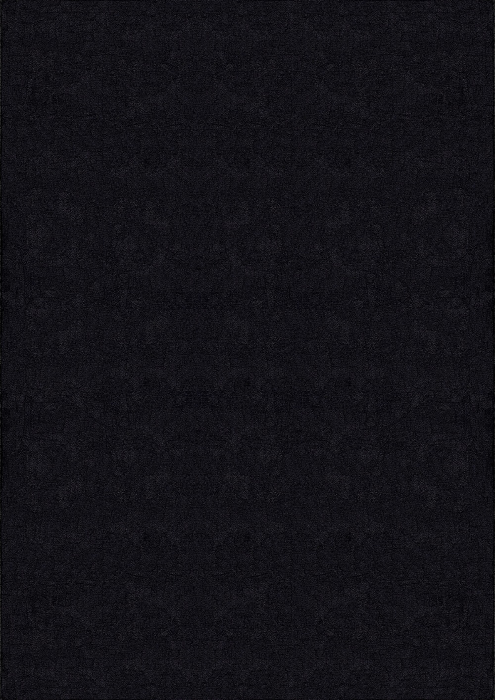 The carpet Teppich, waschbar und Anti-Rutsch, Uni-Farben, Schwarz, 80 x 150 cm style modern Schwarz Pes - Polyester