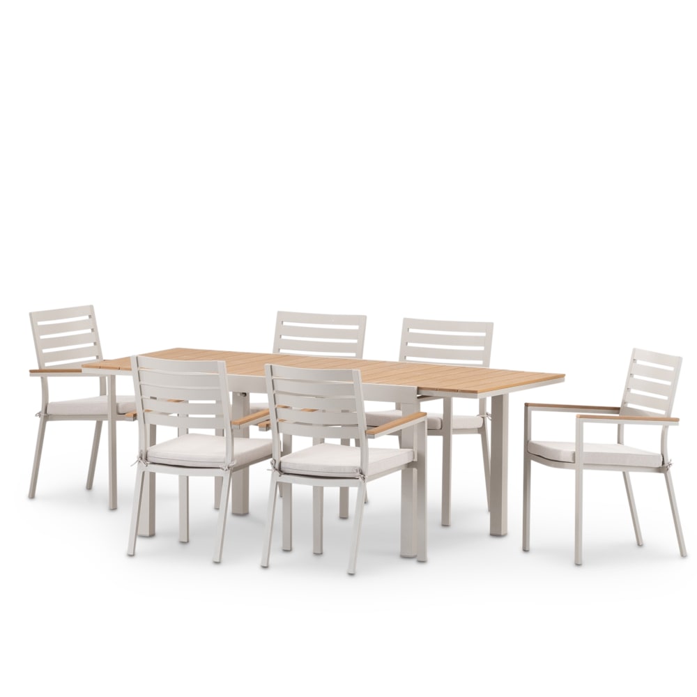 Set de table 200/140×90 cm et 6 chaises en aluminium avec coussin