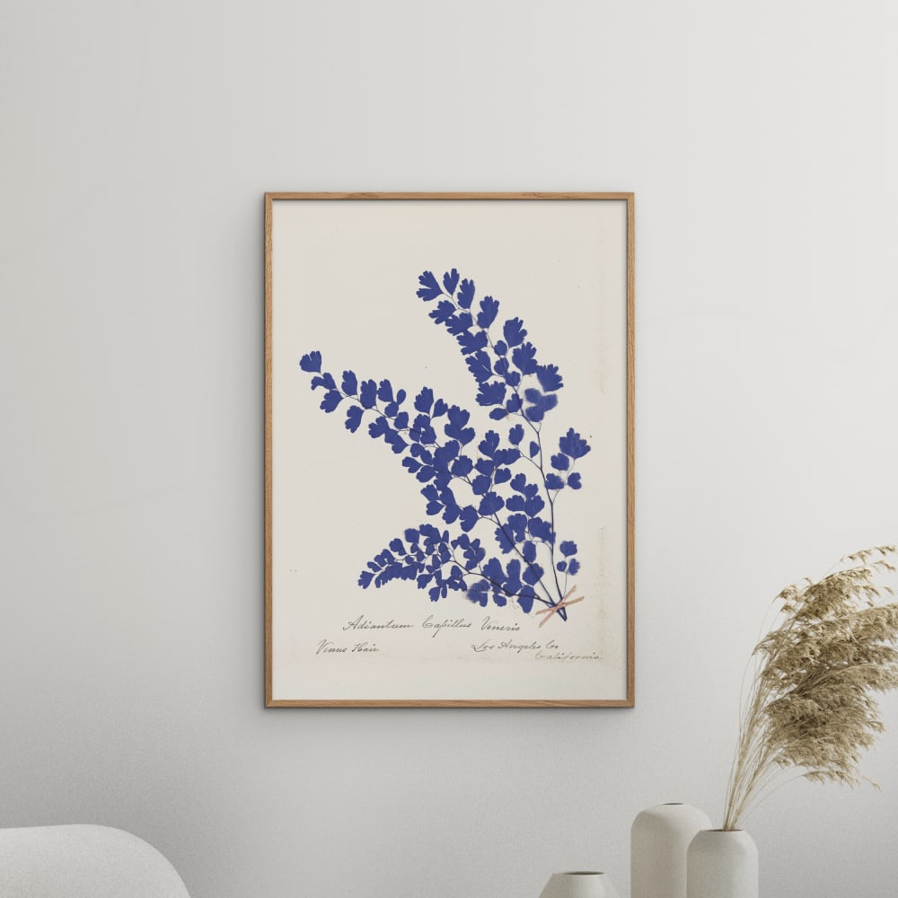Affiche ''Botanical Fern III Blue'' Cadre en Chêne - 70x100 cm