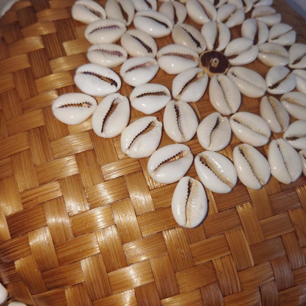 Boîte en Bambou et Coquillages, marron D20 cm - Maisons du Monde