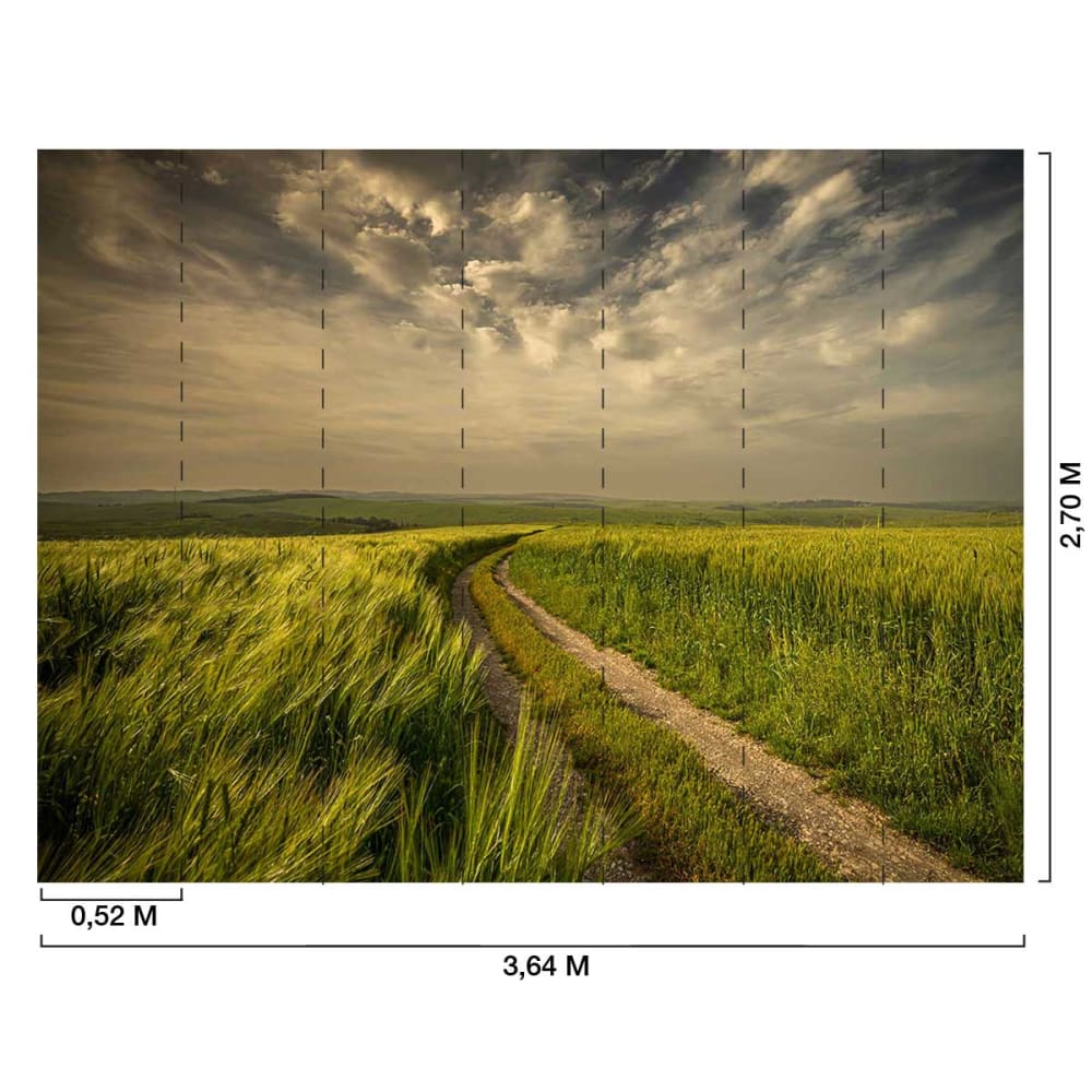 Papier peint les champs verts 364x270 cm — vue 3