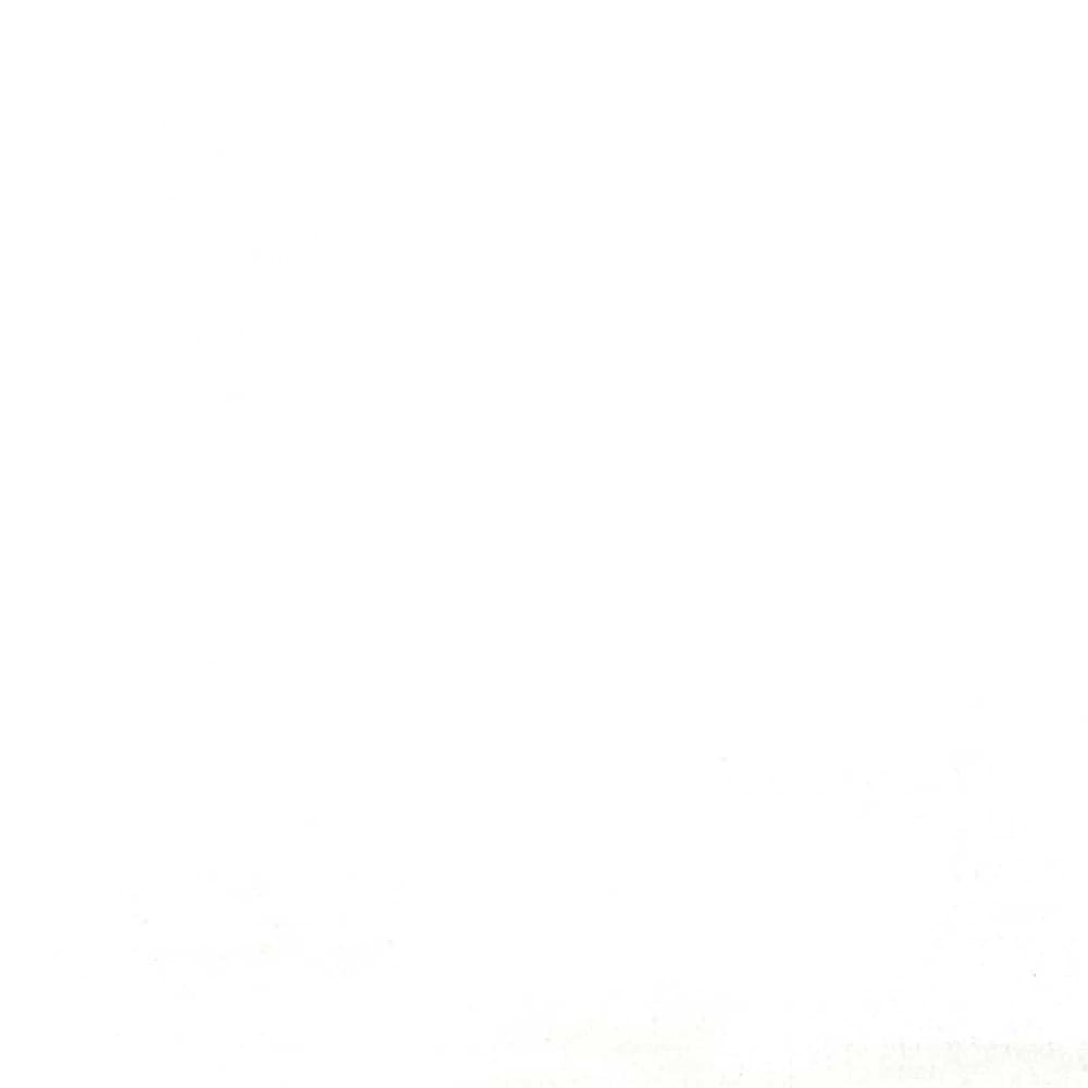Papier peint voile de brume 260x270 cm — vue 4