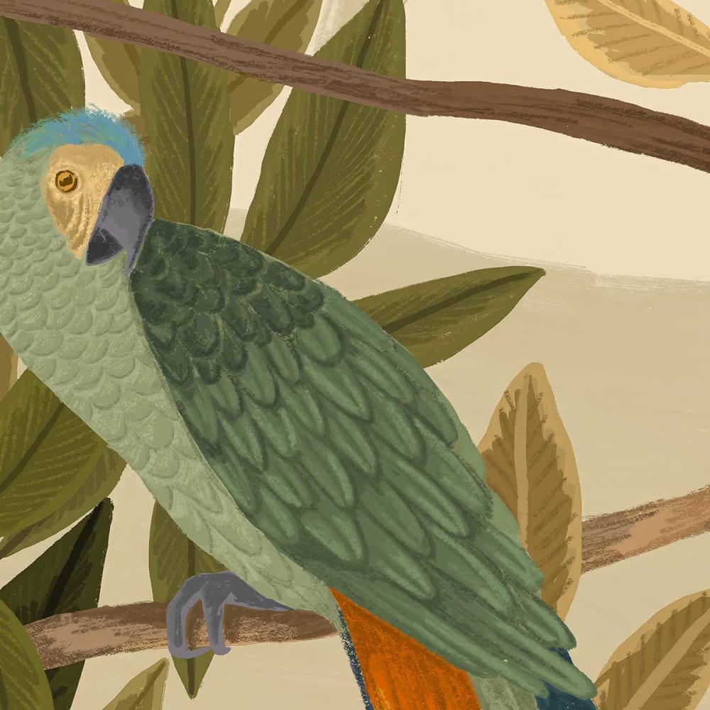 Papier peint chants tropicaux 208x270 cm — vue 4