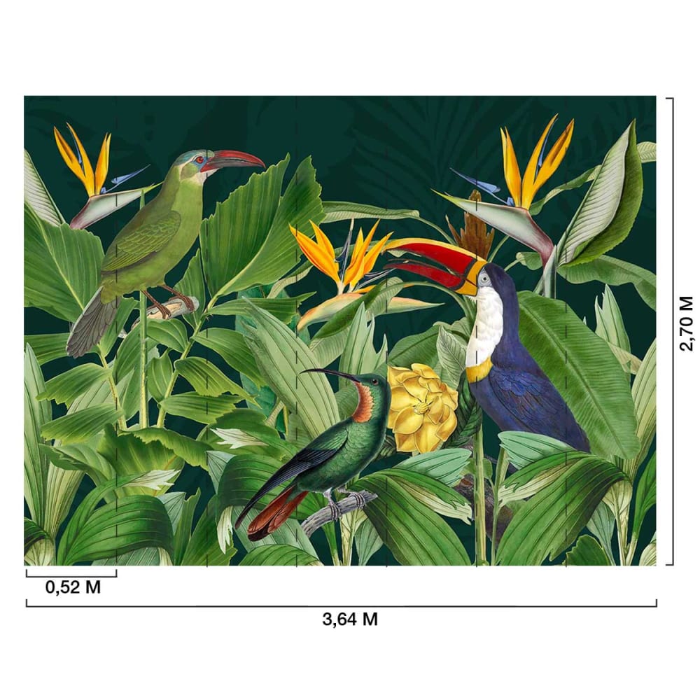 Papier peint oiseaux des tropiques 364x270 cm — vue 3