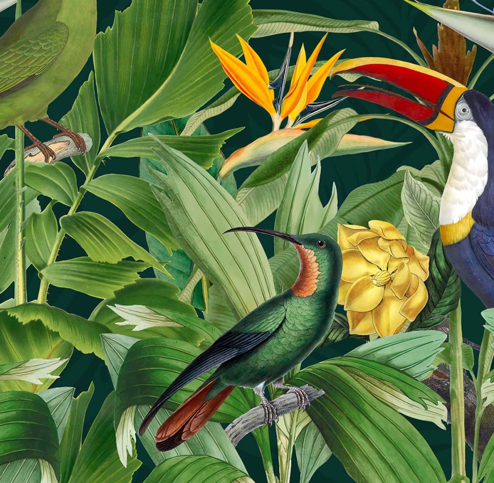 Papier peint oiseaux des tropiques 364x270 cm — vue 4