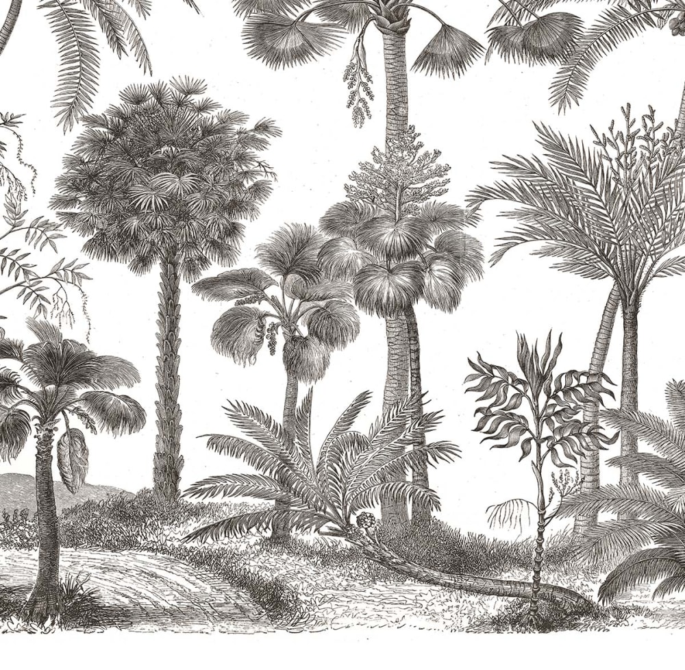 Papier peint tropiques 364x270 cm — vue 4