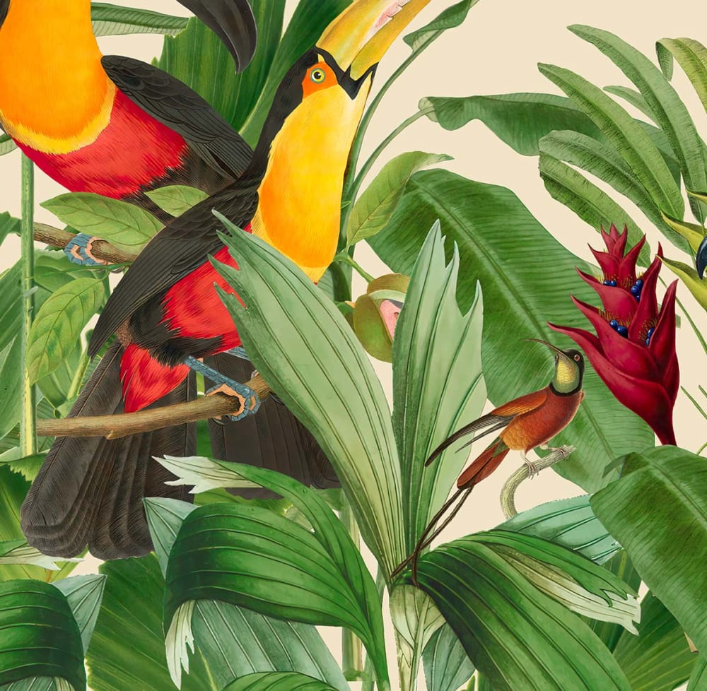 Papier peint jardin d'oiseaux 364x270 cm — vue 4