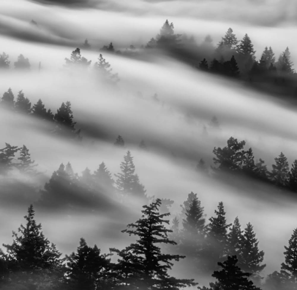 Papier peint brume du matin 364x270 cm — vue 4