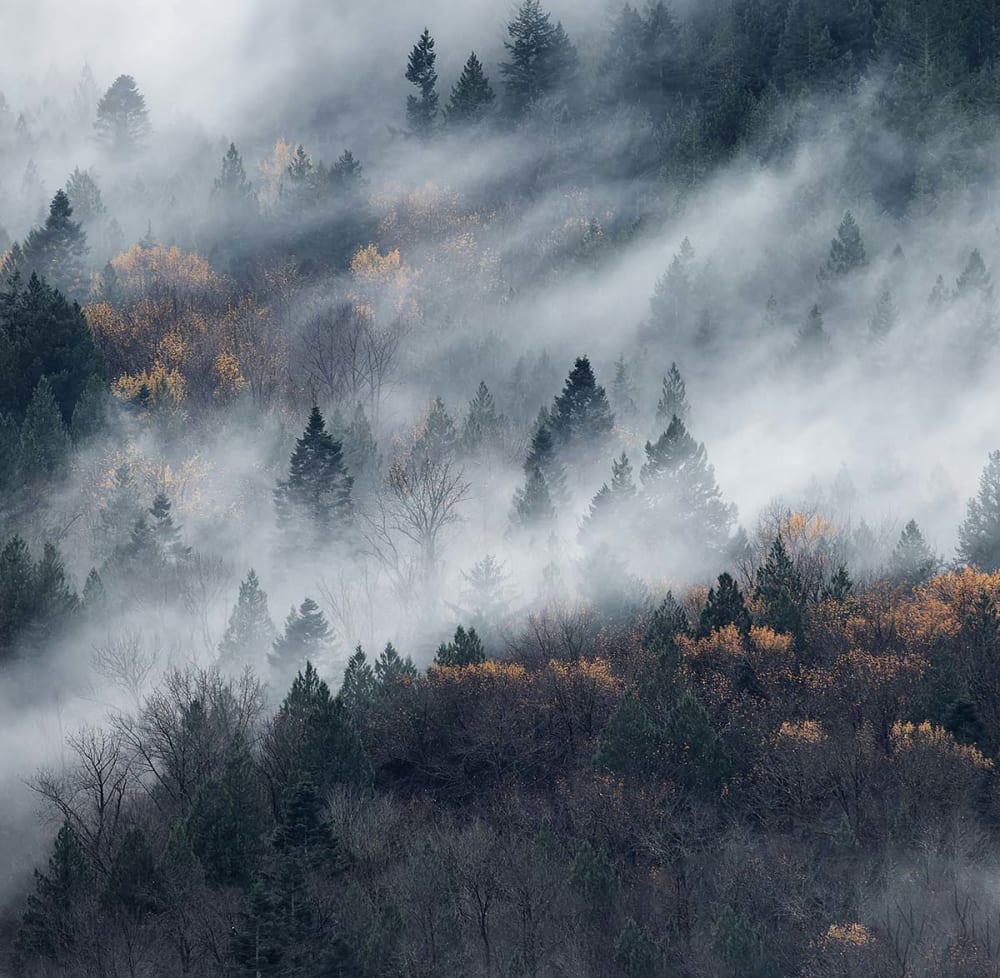 Papier peint un chemin du brouillard 364x270 cm — vue 4