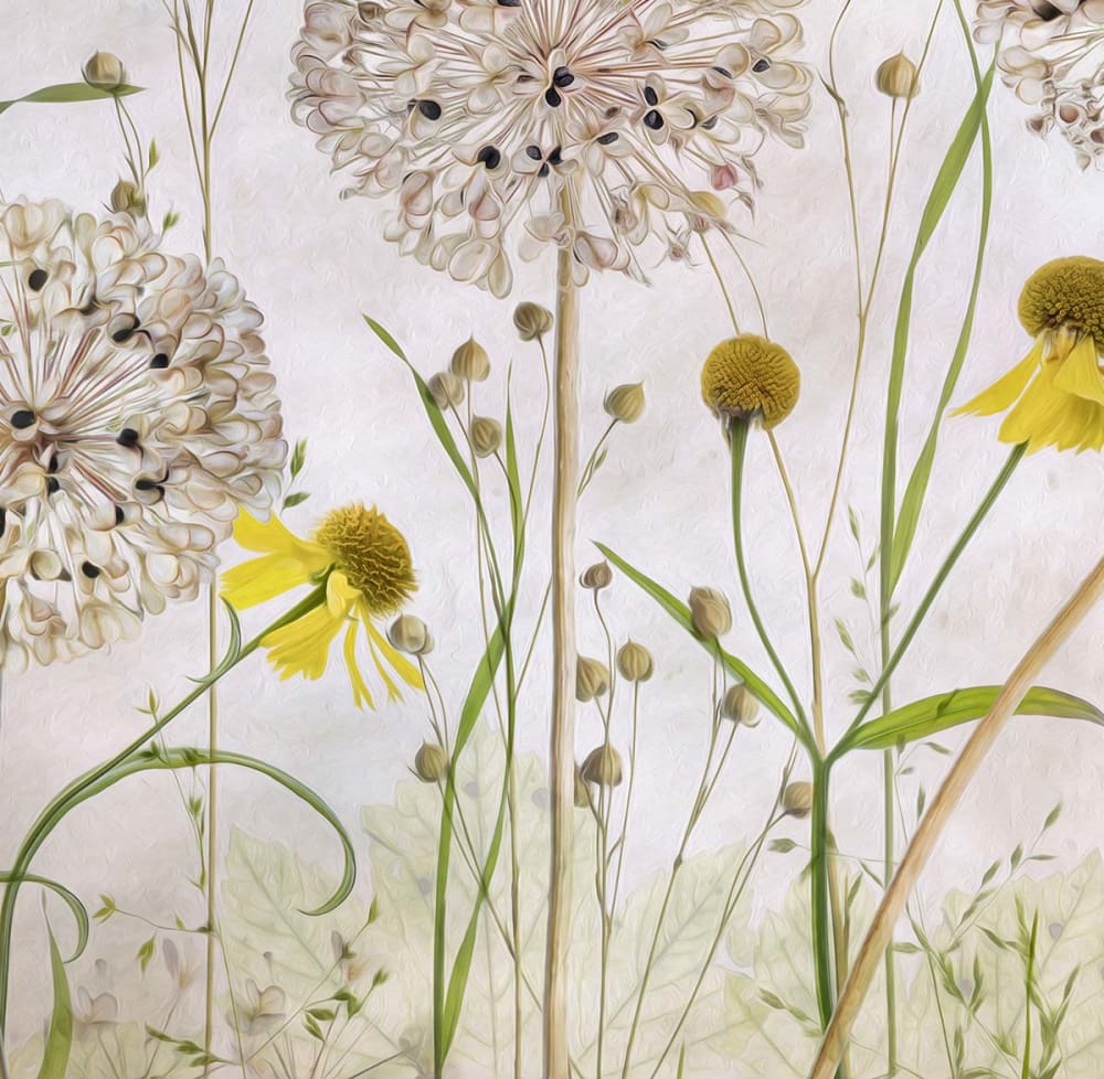 Papier peint alliums et héléniums 364x270 cm — vue 4