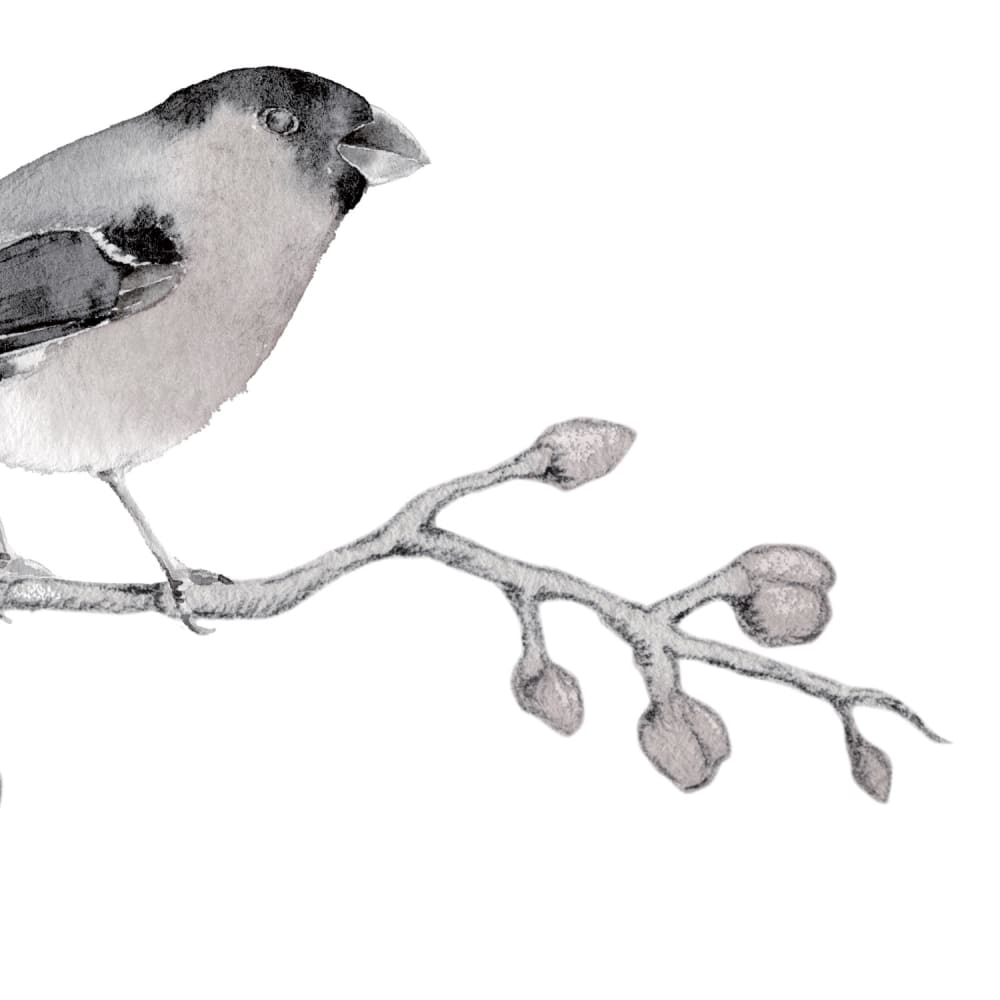 Papier peint cerisier, gris 225 x 250cm — vue 4