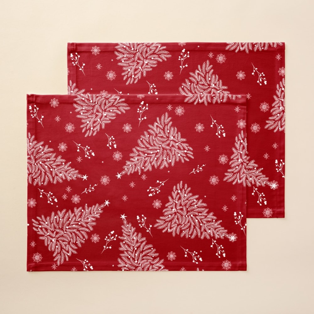 Lot de 2 sets de table 50x40 cm