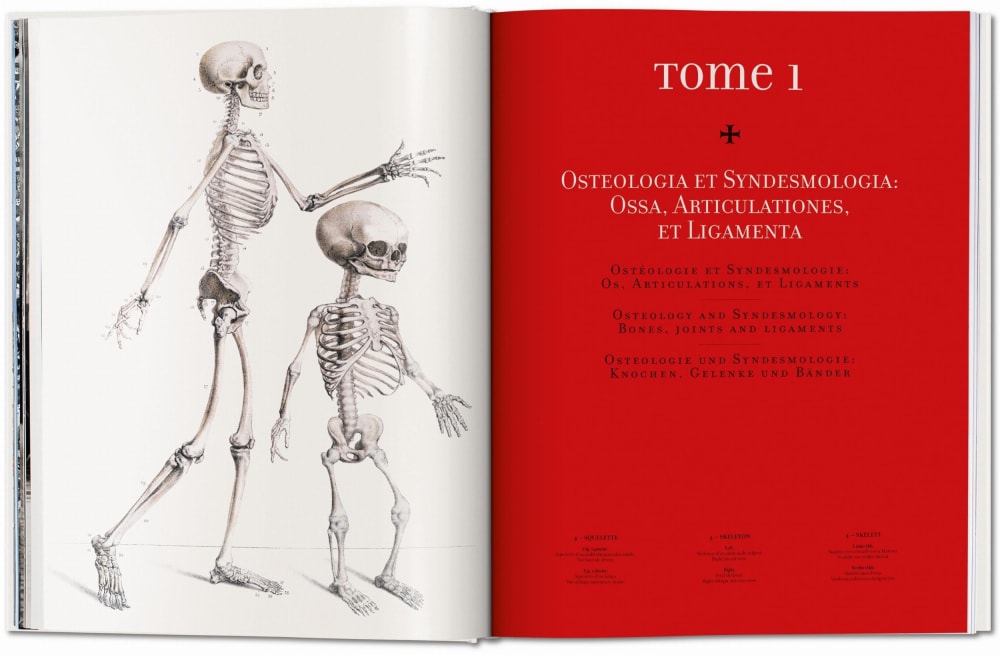 Bourgery. Atlas of Human Anatomy and Surgery (German, French,