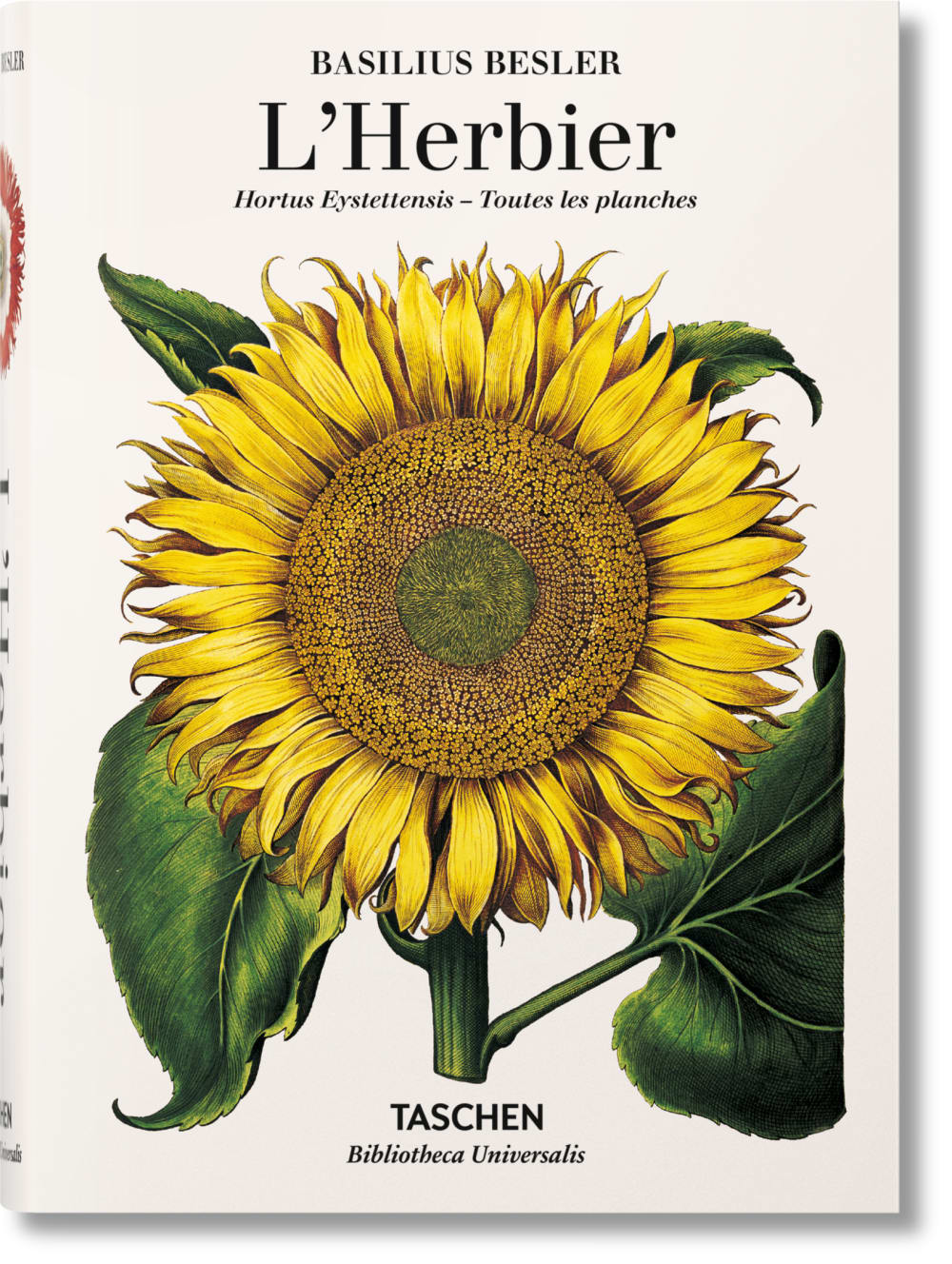 TASCHEN Basilius Besler. Der Garten von Eichstätt (Deutsch) Mehrfarbig Papier
