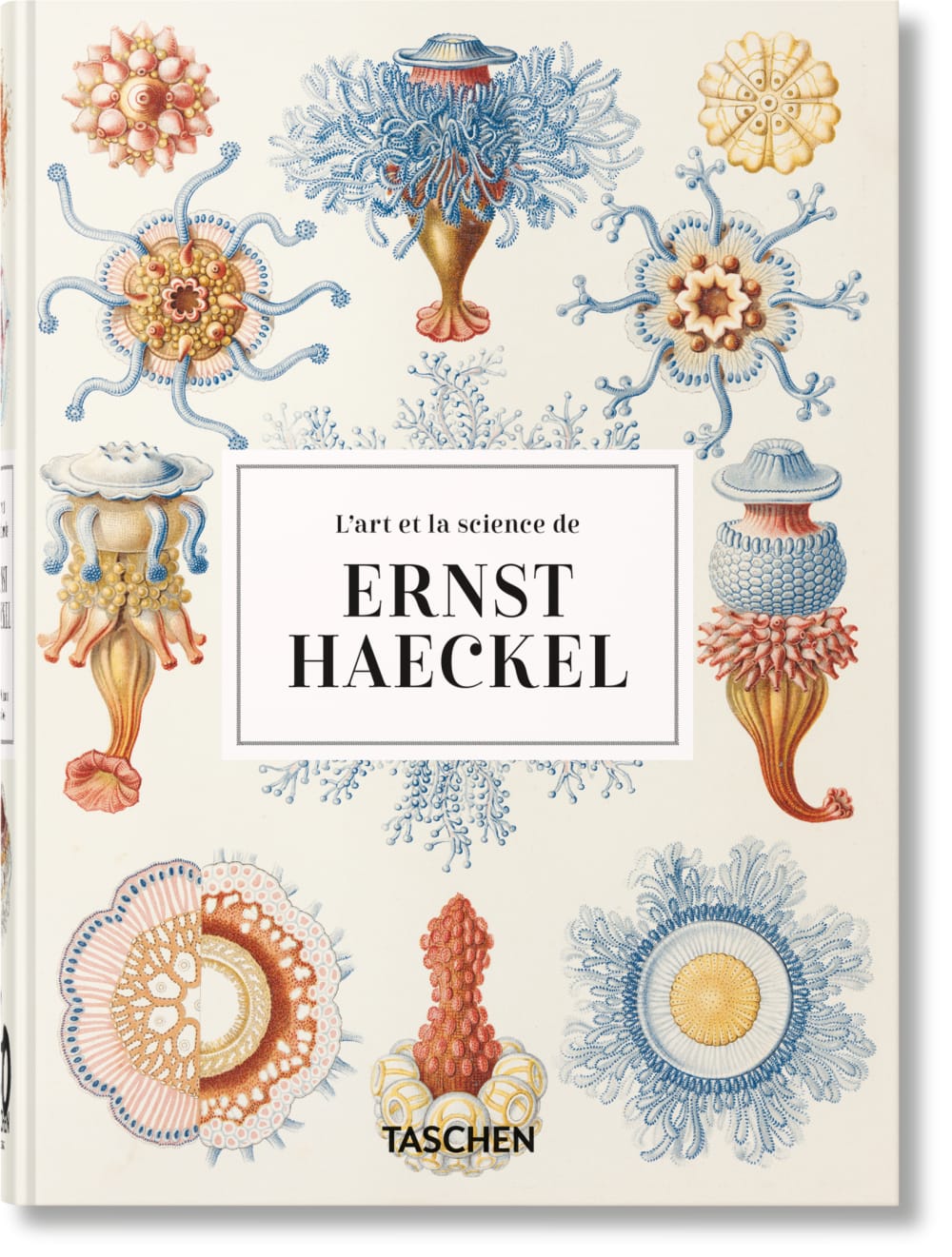 TASCHEN Ernst Haeckel. Kunst und Wissenschaft. 45th Ed. (Französisch) Mehrfarbig Papier