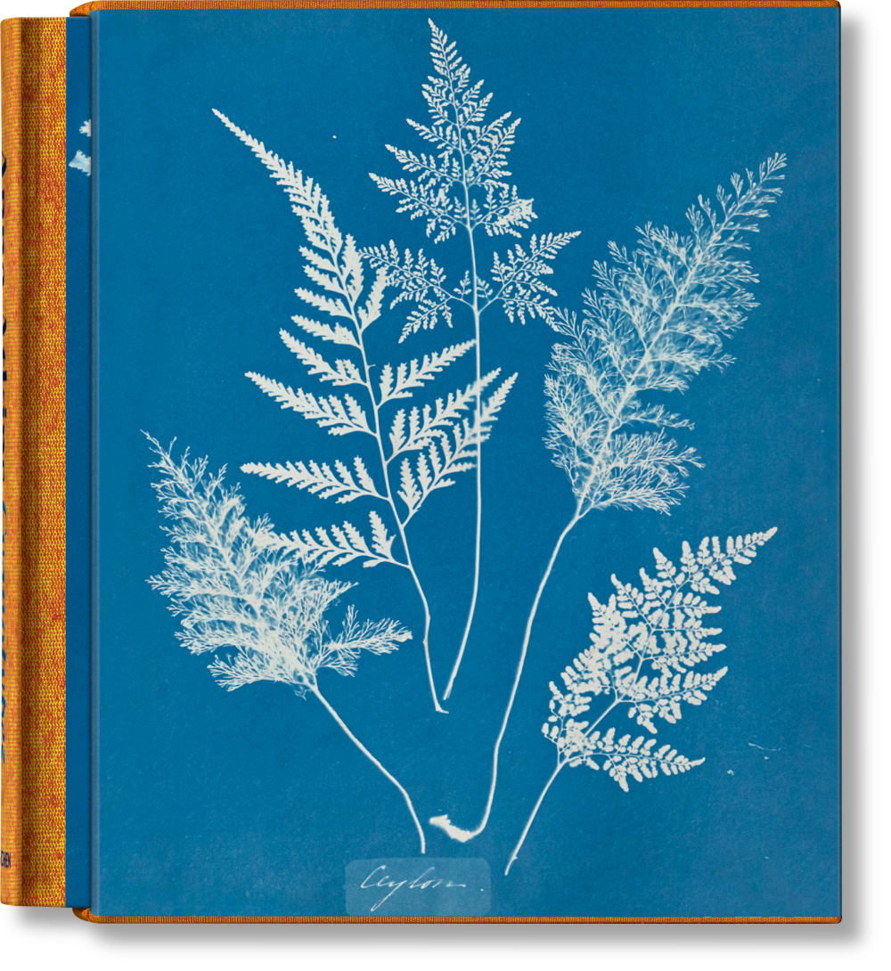 TASCHEN Anna Atkins. Cyanotypes (Deutsch, Französisch, Englisch) MEHRFARBIG PAPIER Junge
