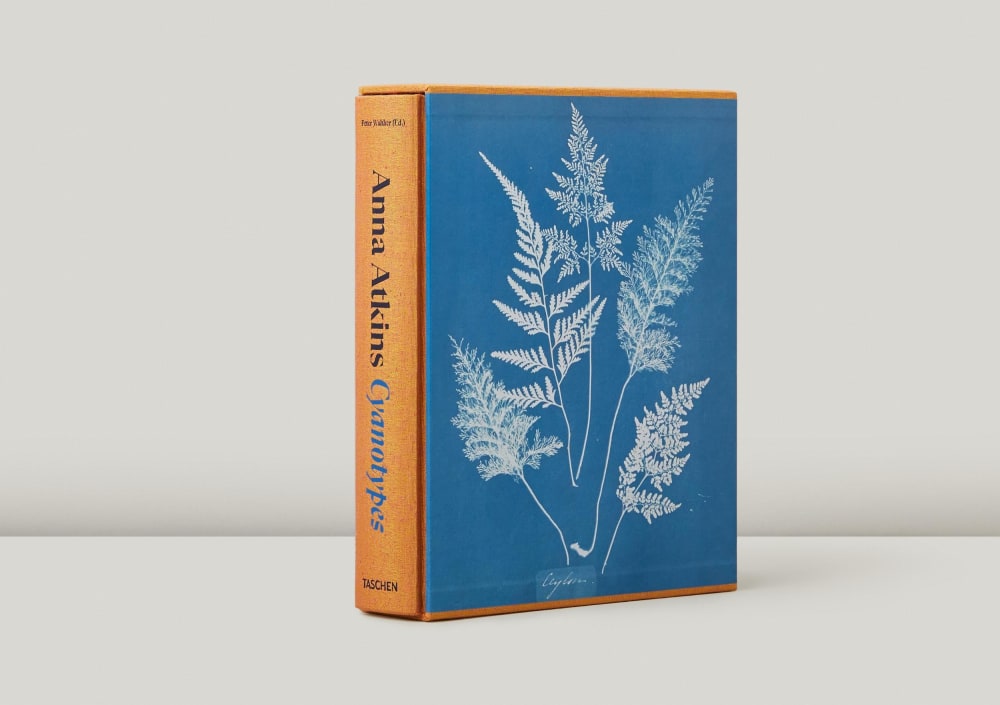 Anna Atkins. Cyanotypes (Deutsch, Französisch, Englisch) -