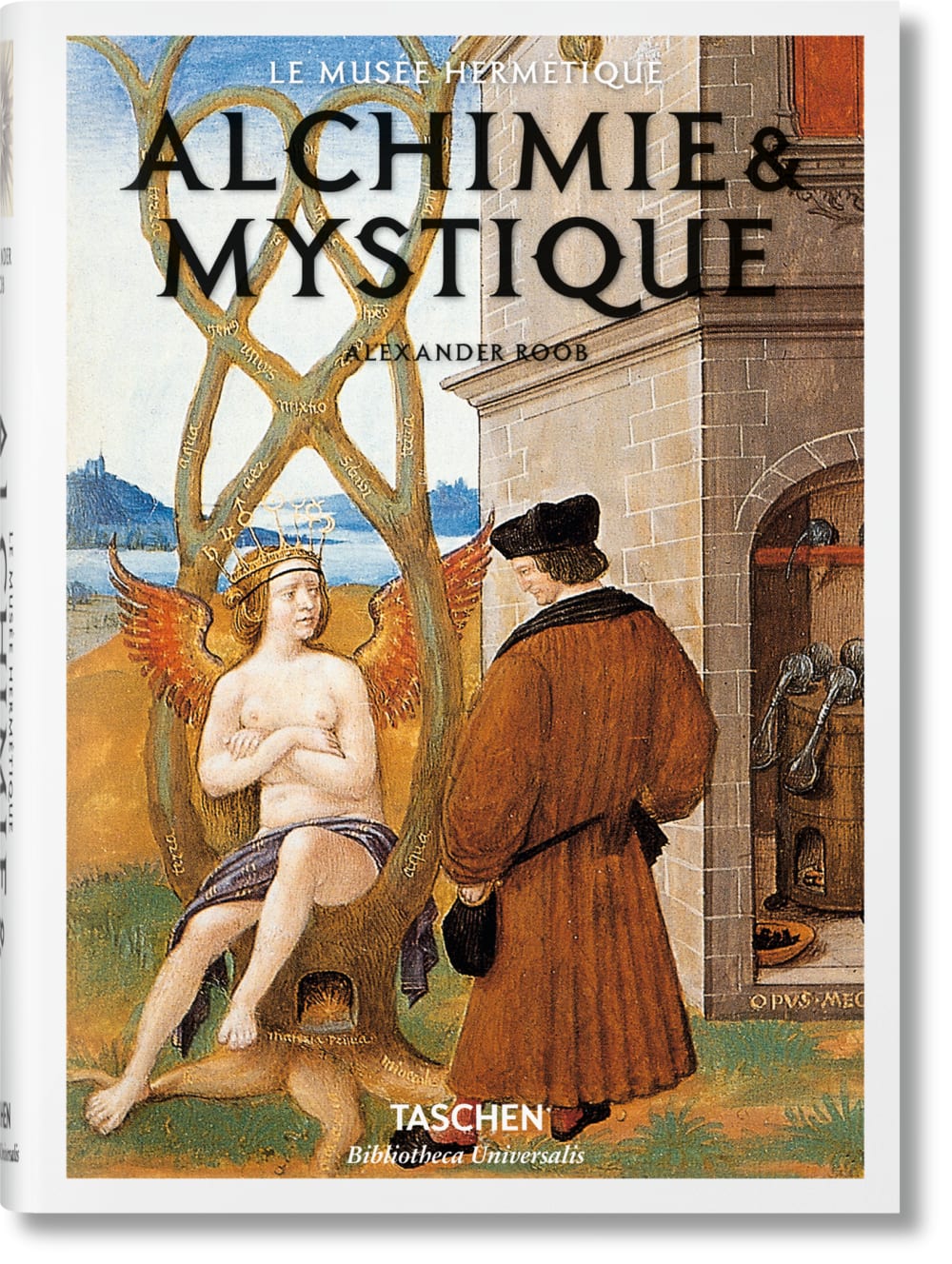 TASCHEN Alchemie & Mystik (Französisch) Mehrfarbig Papier