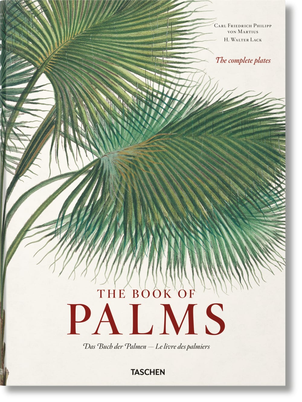 TASCHEN Martius. Das Buch der Palmen (Deutsch, Französisch, Englisch) Mehrfarbig Papier