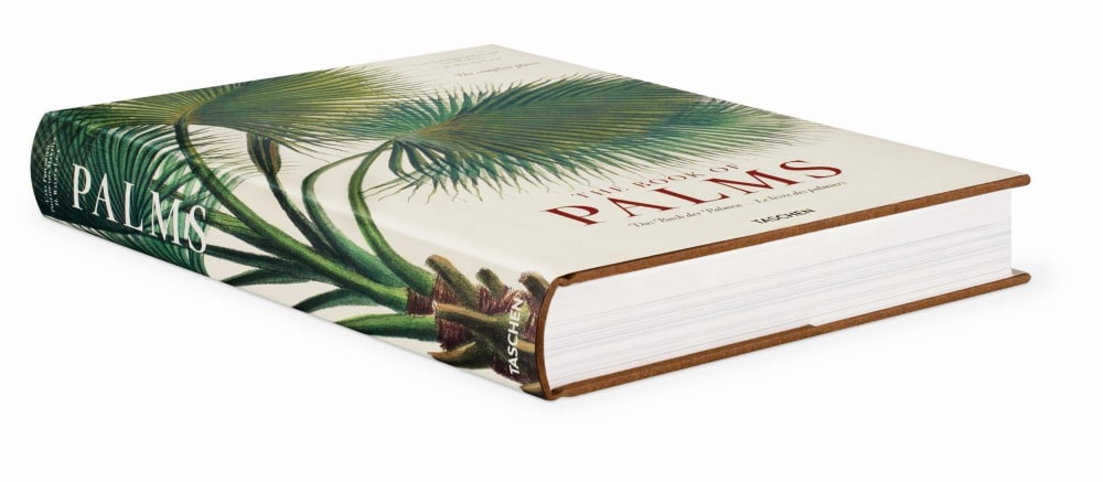 Martius. Le livre des palmiers (Allemand, Français, Anglais) - Maisons du Monde