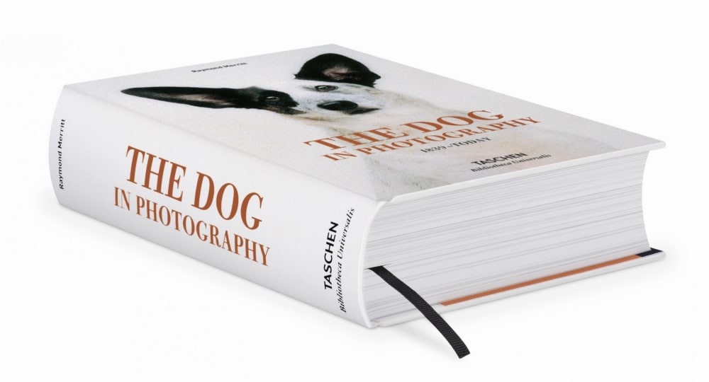 The Dog in Photography 1839–Today (German, French, English) -